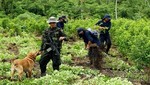 Monzón: Al menos tres muertos en enfrentamiento entre policías y cocaleros en Huánuco