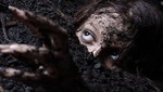 La tapefobia: el miedo a ser enterrado vivo