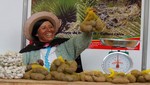 Chips de papas nativas huancavelicanas destacan en Mistura 2012