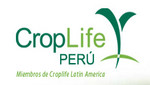Avance de la ciencia de los cultivos incrementa productividad y rentabilidad agrícola peruana