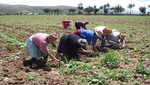 El censo agrario será incompleto para el Perú
