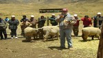 [Huancavelica] Productores en Curso Regional de Inseminación Artificial en Ovinos