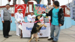 Gran campaña gratuita de vacunación de canes en San Miguel