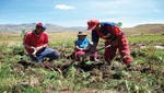 Más inversión en pequeña agricultura para reducir la vulnerabilidad alimentaria