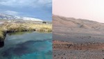 El suelo de Marte es similar al de las ciénegas de México
