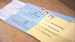Chile: Las encuestas y los Cisnes Negros