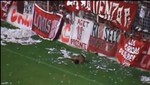 Hincha argentino sufre brutal caída desde la tribuna al campo de juego [VIDEO]