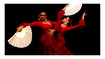 19/26 Nov:Lourdes Carlín y Alma Gitana presentan ADENTRO, Espectaculo Flamenco, Centro Cultural El Olivar