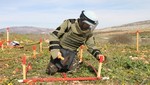 Retiran minas antipersonales en la frontera con Chile