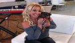 Britney Spears le abre una cuenta en Twitter a su nueva perrita