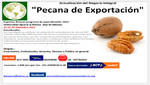 Pecana de Exportación : Expertos dictaran programa de especialización 2012