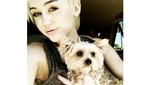 Miley Cyrus destrozada por la muerte de su perrita Lila