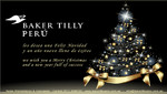 Baker Tilly Perú les desea una Feliz Navidad y un Prospero Año 2013