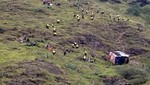 Ecuador: Un bus cayó al vacío y dejó 13 muertos