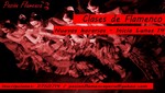 Escuela 'Pasión Flamenca': Nuevos horarios de Flamenco 2013