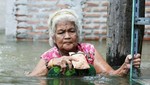 Tailandia: Cocodrilos colman las calles afectadas por las inundaciones