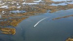 ANCA24: Humedales costeros en Delta del río Misisipi contaminados por petróleo, podrían ser recuperados