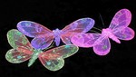 Las mariposas quemadas