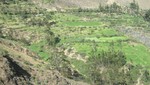 [Huancavelica] Solicitan a Gerencia Subregional de Huaytará conformación del consejo de recursos hídricos
