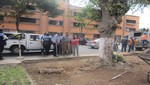 Comuna de Barranco sanciona Empresa Constructora por dañar árboles con más de 90 años de Antiguedad