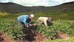 Validan agenda agraria Huancavelica 2013 - 2016
