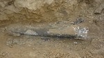 Arqueólogos rusos descubrieron  restos de una rara especie de mamut