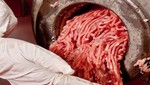 Alemania: ministro recomienda a pobres alimentarse con carne de caballo