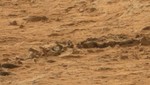 ¿Curiosity encontró restos fosilizados de un ser marciano en Marte? [VIDEO]
