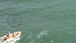 Un Tiburón mató a una persona en  Nueva Zelanda [VIDEO]