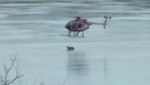 Ciervo es rescatado de un lago congelado por un helicóptero [VIDEO]