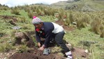 [Huancavelica] Inician gran faena forestal regional de plantación de 25 mil pinos