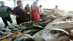 Pescado desde 2.50 soles el kg por la Semana Santa, Campaña Pescado Santo en todo el pais