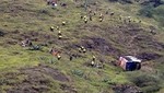 Arequipa: mueren 20 personas al caer bus a abismo