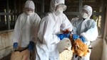Nueva cepa de gripe aviar mata a dos personas en Shanghai