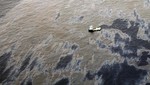 Derrame de petróleo alcanza a nueve playas de Sao Paulo