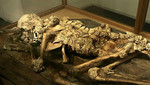 ¿Los Reptilianos son un mito o realidad?