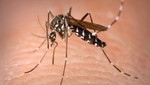 Cuidado: Consumo de aspirina puede causar la muerte en personas con dengue