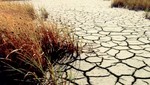 Grupo de países de América Latina y El Caribe alertan sobre avance de la desertificación en la región