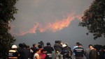 Chile: Incendio forestal destruye decenas de casas [VIDEO]
