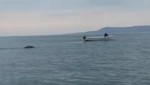 El monstruo del Lago Ness reaparece en Irlanda [VIDEO]