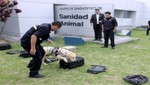 Brigada canina del Ministerio de Agricultura Combate el ingreso de plagas al país