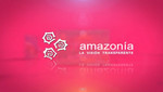 'La visión Transparente' de la Amazonía en el Día Mundial del Medio Ambiente