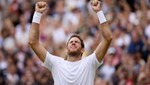 Wimbledon 2013: Djokovic y Del Potro están en semifinales