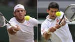 Wimbledon 2013: Novak Djokovic vs Juan Martín del Potro [EN VIVO]