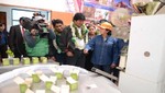 Bolivia inaugura la primera fábrica de bimate de coca y stevia