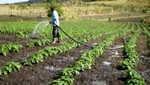 El Ministerio de Agricultura planteó ley de acceso a la tierra