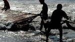 Aún no se puede recuperar cuerpo de pescador en Nuevo Chimbote