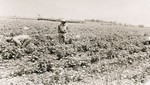 A 60 años de reforma agraria en Bolivia