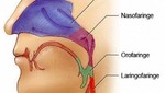 Cáncer de Nasofaringe