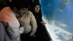 Un total de 2 560 personas visitaron el Gran Acuario en los primeros dos días de apertura